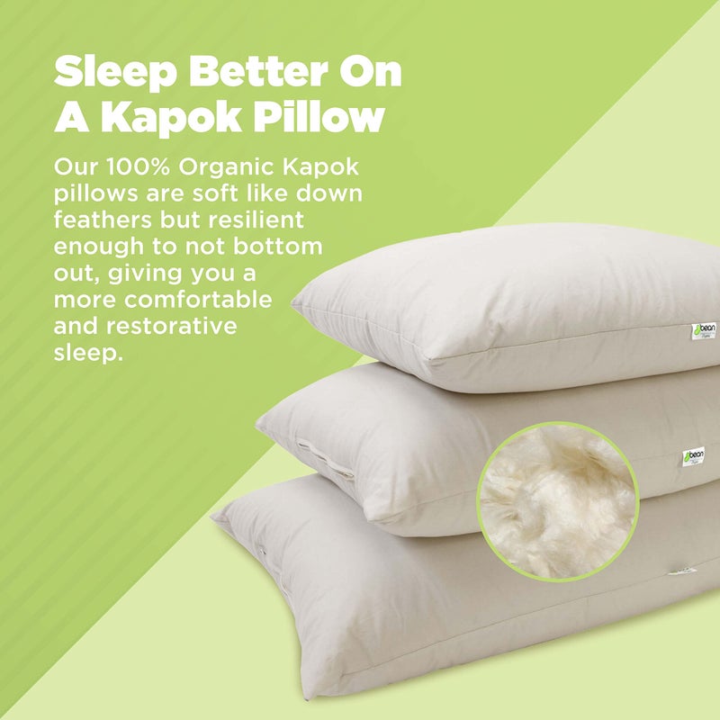 Bean Products Kapok 20" x 30" Queen Pillow - Breathable, Eco-Friendly and Durable Organic Cotton Fabric Bed Pillow - Soft and Supportive Pillow for Sleeping, Made in The USA - Image 2